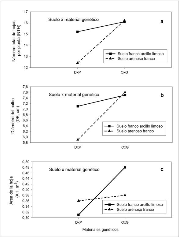Valores del n&uacute;mero total de hojas por planta (a), del di&aacute;metro del bulbo (b) y del &aacute;rea de la hoja (c) de la palma, para la interacci&oacute;n suelo x material gen&eacute;tico, en plantas de las palmas aceiteras h&iacute;brido OxG y T&eacute;nera DxP en vivero en Tumaco