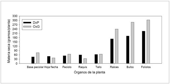 Biomasa de los &oacute;rganos de las palmas aceiteras h&iacute;brido OxG y T&eacute;nera DxP en vivero en Tumaco