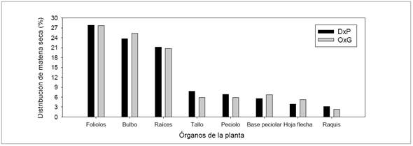Distribuci&oacute;n de la biomasa de plantas de las palmas aceiteras h&iacute;brido OxG y T&eacute;nera DxP en vivero en Tumaco
