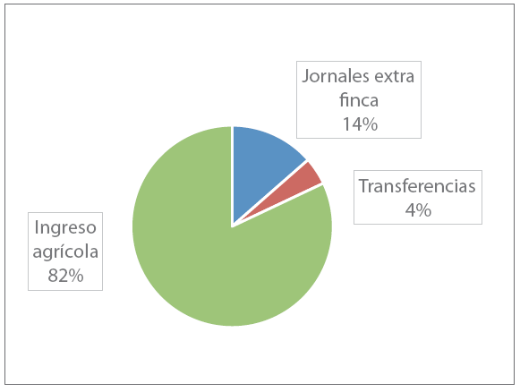 Ingreso anual campesino cafetalero alternativo