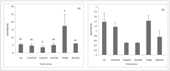 Severidad de peca en frutos de aguacate cv. Lorena con diferentes tipos de barreras f&iacute;sicas y qu&iacute;micas desde inflorescencia hasta fruto, en las fincas Tulipanes (a) y La Ilusi&oacute;n (b) del municipio de Fresno, Tolima, Colombia