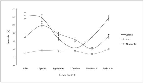 Evoluci&oacute;n de la severidad de la peca en frutos de los cultivares Lorena (u), Hass (l) y Choquette (s) durante el segundo semestre de 2013