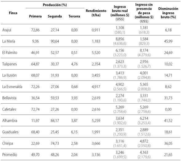 Distribuci&oacute;n de la producci&oacute;n de aguacate por categor&iacute;a de calidad y efecto de la peca en el ingreso bruto en el segundo semestre de 2013, en el municipio de Fresno, Tolima, Colombia.