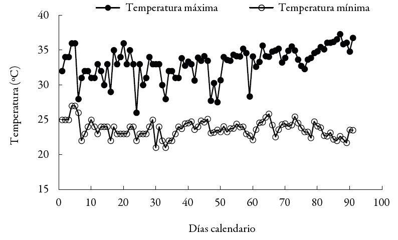 Evolucion
de las temperaturas maximas y minimas
diarias en el corregimiento de Chocho (Sincelejo, Colombia). Datos registrados
entre el 1 de octubre y el 30 de diciembre de 2015