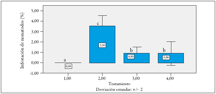 Evaluaci&oacute;n del nivel de infestaci&oacute;n
de Meloidogyne incognita en las ra&iacute;ces de dos cultivares y dos materiales F1 de lulo, en condiciones
de campo. Letras iguales sobre las barras significan que los valores no
difieren estad&iacute;sticamente (p > 0,05)