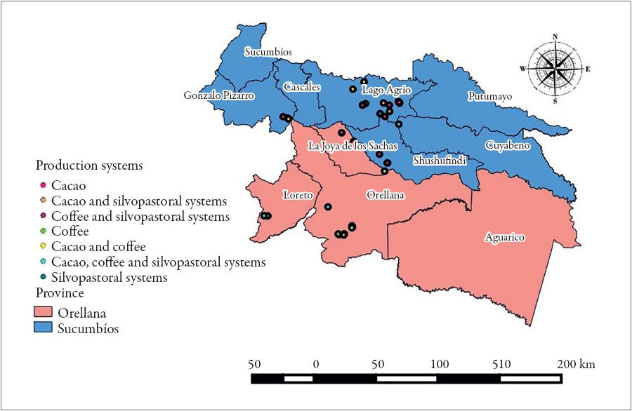 Location of farms producing cacao, coffee and silvopastoral systems, in the provinces of Sucumb&iacute;os and Orellana (Ecuador).