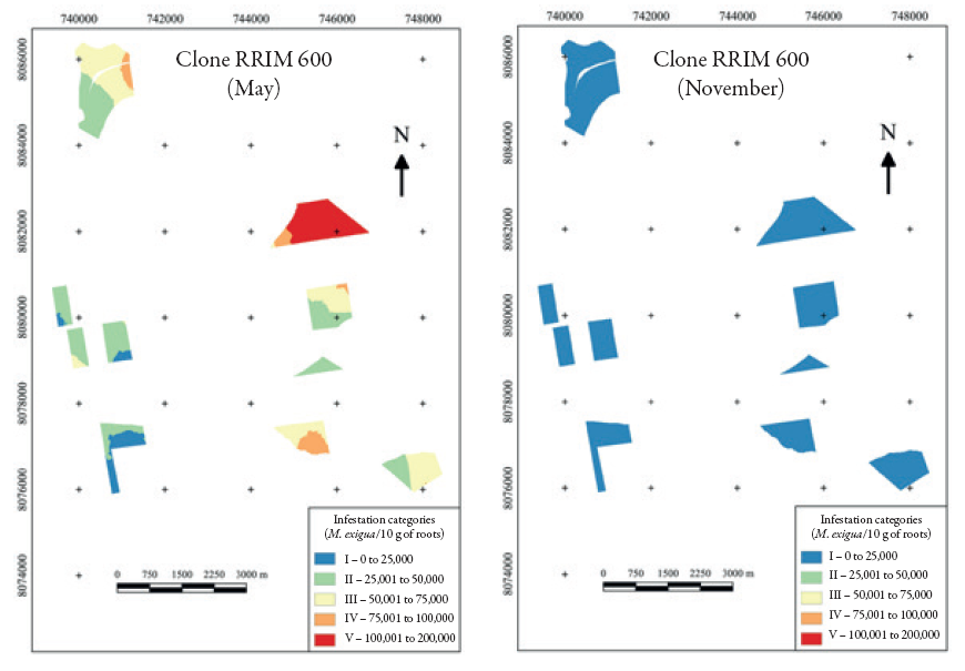 Infestation mapping of the clone rrim
600 in May and November