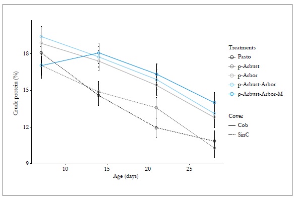 Effect of the silvopastoral arrangement and age on the crude protein content of Megathyrsus maximus, in ci Turipan&aacute; during 2011. Cob = Tree cover; SinC = No tree cover. Vertical bars indicate the standard error of the mean.