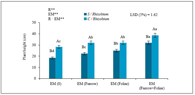 Effect of Rhizobium (0 [S/Rhizobium] and 1 kg in 46 kg of seed [C/Rhizobium]) and em (0, furrow 100mg/L, foliar 100 mg/L and the association between furrow and foliar) in the average plant height in common beancv. Cuba Cueto. r: Rhizobium; em: Efficient microorganisms; and r &middot; em: interaction between r and em.