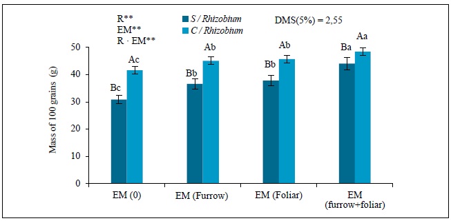 Effect of Rhizobium (0 [S/Rhizobium] and 1 kg in 46 kg of seed [C/Rhizobium]) and em (0, furrow 100mg/L, foliar 100 mg/L and the association between furrow and foliar) in the average mass of 100 grains in commonbean cv. Cuba Cueto. r: Rhizobium; em: efficient microorganisms; and r &middot; em: interaction between r and em.Values are represented by means &plusmn; sd (n = 5).