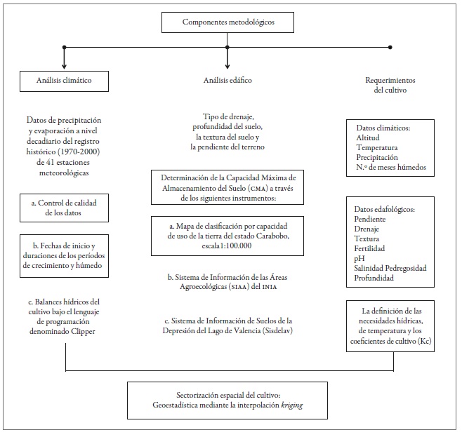 Descripci&oacute;n de las actividades y sus componentes
metodol&oacute;gicos para la sectorizaci&oacute;n ecoterritorial
del cultivo de papa (S. tuberosum) en
Carabobo, Venezuela.