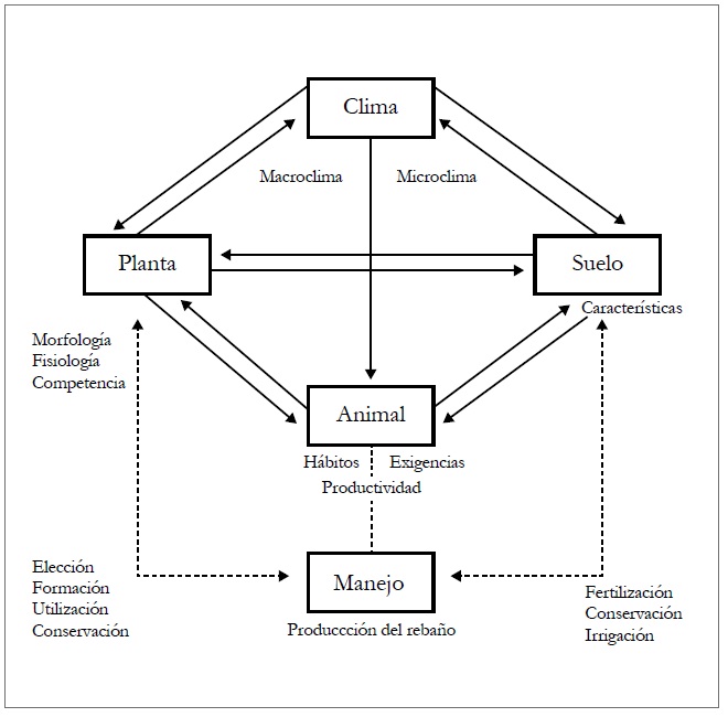 Representación esquemática de las interacciones en un ecosistema de pastura.