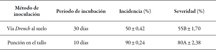 Incidencia y severidad de la muerte
repentina del T. cacao por V.
dahliae mediante
dos m&eacute;todos
de inoculaci&oacute;n,
en la estaci&oacute;n
experimental Juan Bernito del ict, distrito de La Banda de Shilcayo, Provincia
y Regi&oacute;n
de San Martin, Per&uacute;,
en 2010