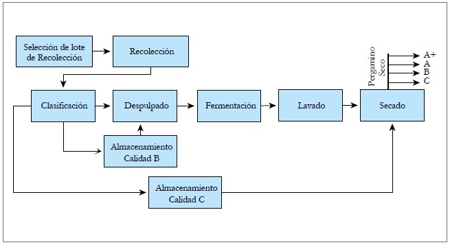 Diagrama de flujo del proceso de beneficio del café.