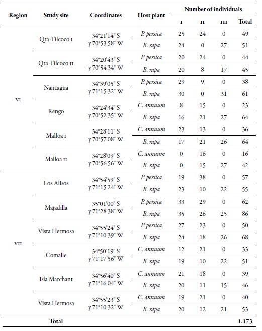 Location of the study sites, number of individuals of M. persicae per host and sampling moment in the regions of O'Higgins (VI) and Maule (VII), during the 2010-2011 agricultural season