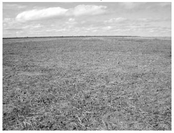 Solo exposto em uma
fazenda de soja no sul do estado do Piauí, Brasil