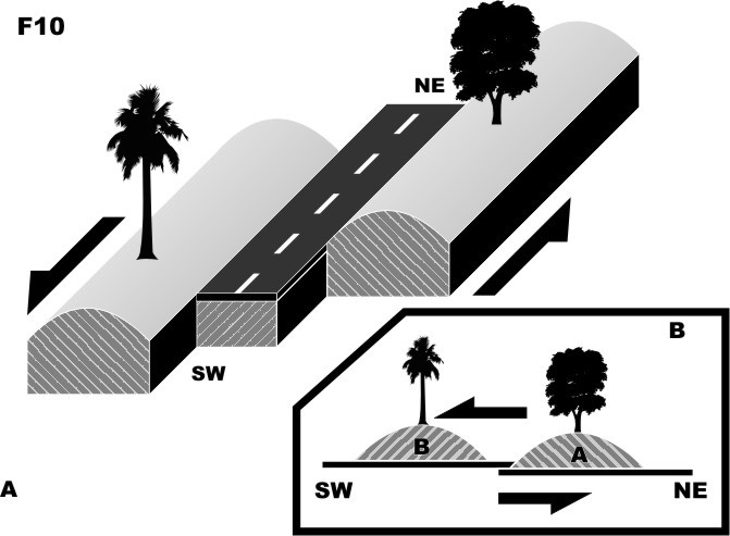 . Neotectonic of Pinar del R&iacute;o segment