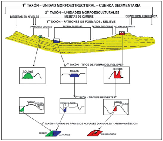 Representaci&oacute;n esquem&aacute;tica de las unidades taxon&oacute;micas