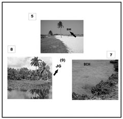 Cuban Seismic Intensity Map (original
scale 1:1,000,000)