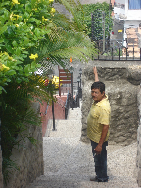 Terrazas marinas enmascaradas en Puerto Vallarta