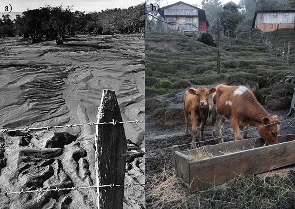 Impacto de las erupciones volc&aacute;nicas en el sector ganadero de leche, Costa Rica
			
