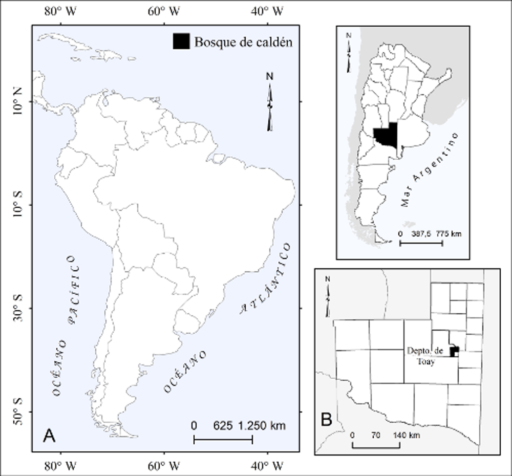 Localizaci&oacute;n del bosque de cald&eacute;n en la Argentina (A) y de la Reserva Provincial Parque Luro (B).