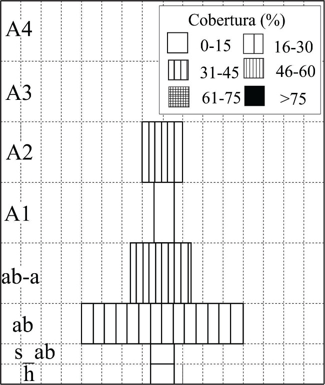 Diagrama Ecodin&aacute;mico de Riqueza-Estructura-Cobertura del transecto 1.