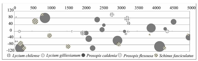 Diagrama de burbujas del transecto 9 en la Reserva Provincial Parque Luro