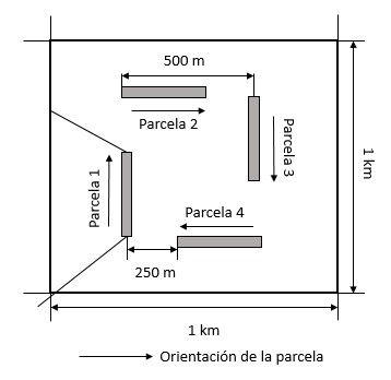 Unidad máxima de levantamiento de 1 Km2 sub dividida en cuatro parcelas.