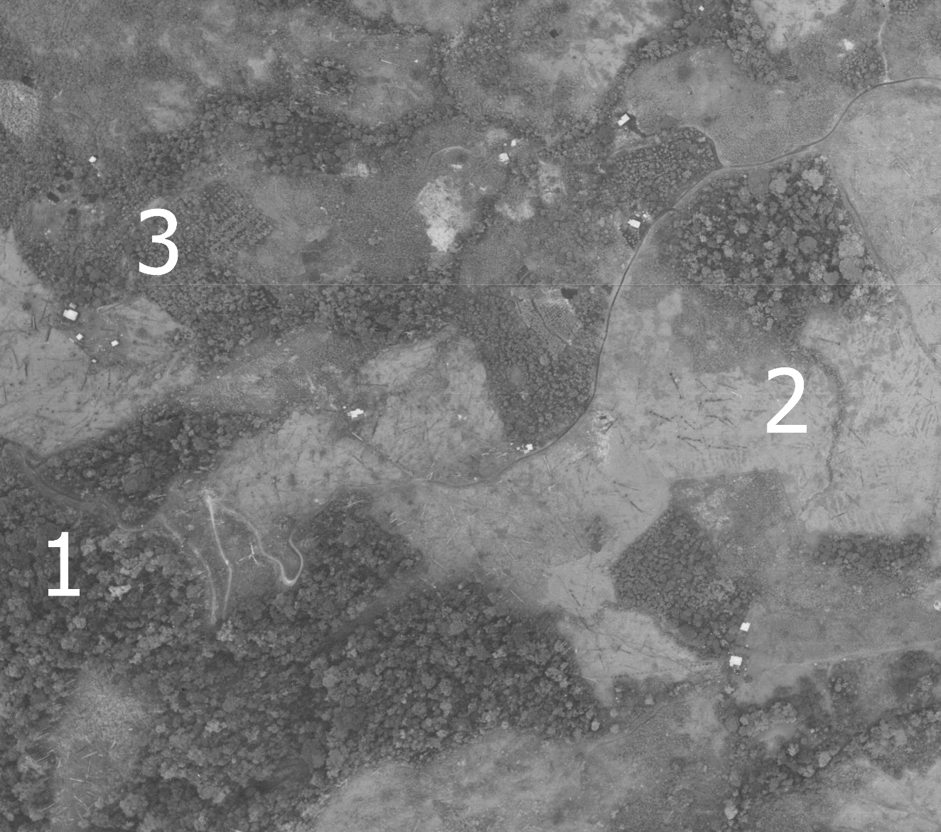 Paisaje t&iacute;pico de Coto Brus para la d&eacute;cada de 1960