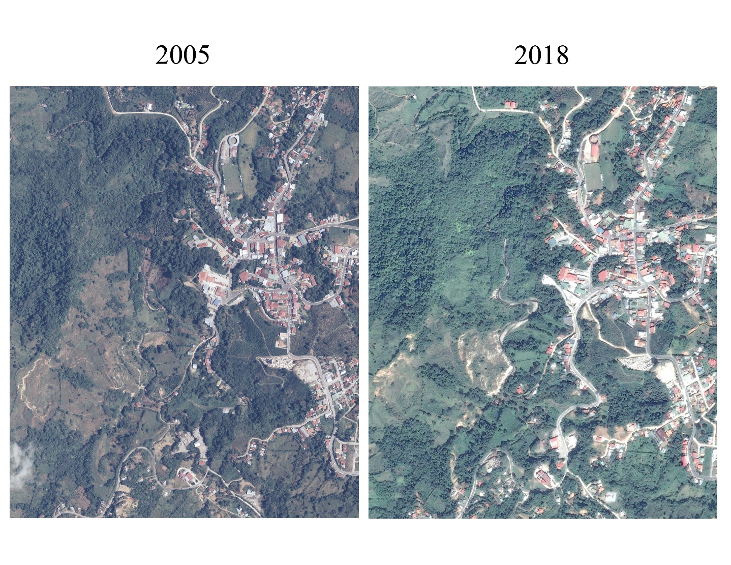 Recuperaci&oacute;n de algunas &aacute;reas boscosas que anteriormente fueron pastos al oeste de San Vito. Adem&aacute;s, se observa la ocurrencia de m&uacute;ltiples procesos gravitacionales hacia el suroeste del centro del poblado.