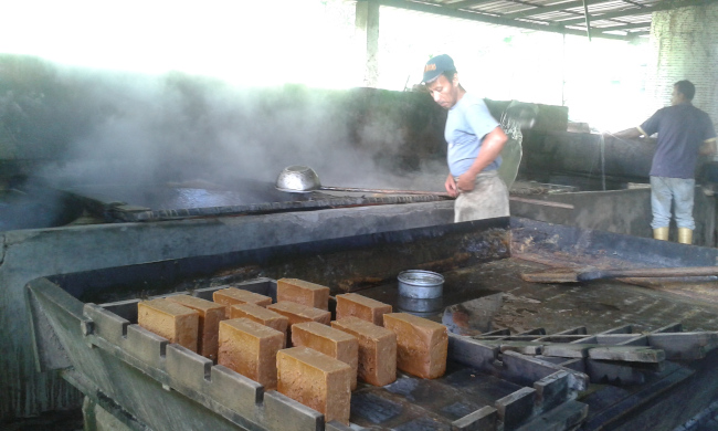 Producci&oacute;n panelera en un Trapiche.