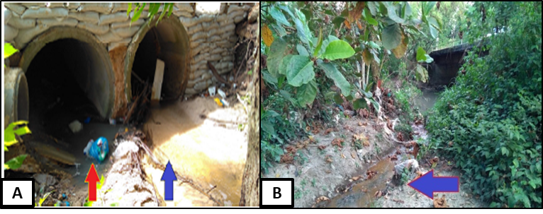 Identifica&ccedil;&atilde;o de bueiro rec&eacute;m-constru&iacute;do nas proximidades das nascentes do Mindu (A) e presen&ccedil;a de dejetos org&acirc;nicos no ponto P6 no Conjunto Petros (B)