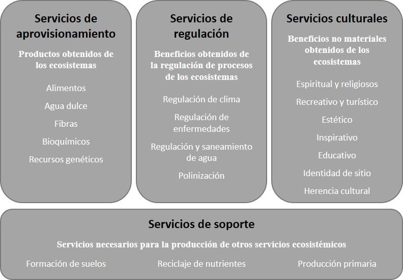Clasificaci&oacute;n de los servicios ecosist&eacute;micos