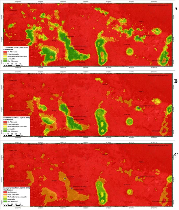 Distribuci&oacute;n potencial de oyamel A Escenario base B Escenario REA 45 C Escenario REA 85