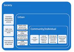 Socio-environmental risk factors for the emergence of violence