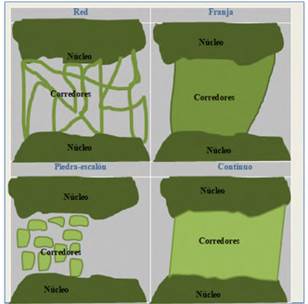 Enfoque de estructura de paisaje dominante para el diseño de corredores biológicos.