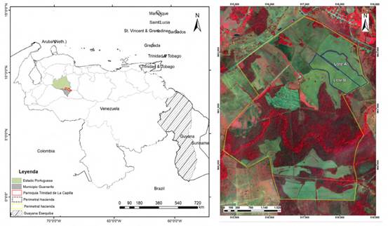 Ubicaci&oacute;n Relativa nacional (izquierda) y lotes de arroz de la Hacienda Terranova (derecha) empleados en la investigaci&oacute;n sobre una combinaci&oacute;n de falso color (FCC) de la imagen Sentinel 2A de fecha 17/02/2017. Fuente: Elaborado con base a la cartograf&iacute;a Nacional oficial del IGVSB (2014) y la imagen Sentinel 2A combinaci&oacute;n 4-3-2 del 17/02/2017 (https://earthexplorer.usgs.gov, 2017)