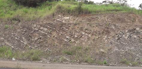 Corte de talud en la entrada a Pes&eacute;, con buzamiento de capas por el orden de 45&deg;.