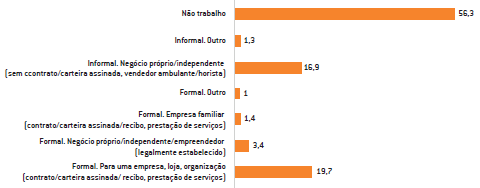 Que tipo de trabalho você realiza? (%)