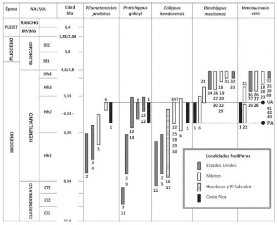 Rangos cronol&oacute;gicos y biocronol&oacute;gicos de algunas especies de mam&iacute;feros asociadas a la paleomastofauna de 1. Localidad de San Gerardo de Limoncito, Costa Rica; 2. McGehee Farm, Florida (Hirschfeld & Webb, 1968 y Morgan, 2005); 3. Siphon Canal Locality, California (Hirschfeld, 1981), 4.Chamita Fauna (Lindsay et al., 1984), Nuevo M&eacute;xico; 5. Estado de Nuevo Le&oacute;n (Carranza-Casta&ntilde;eda & Miller, 2004), 6. Cuenca de Juchipila (El Mixt&oacute;n y El Resbal&oacute;n), Zacatecas, M&eacute;xico (Carranza-Casta&ntilde;eda et al., 2008, 2013), 7. East Kat Quarry, Leparctus Quarry, West Line Kat Quarry, Xmas Quarry, Nebraska y 8. Sitio Mauvilla, Mobile County, Sur de Alabama (MacFadden & Dobie, 1998; Hulbert & Whitmore, 2006, Hulbert, com. escrita, 21/11/2014); Florida: 9. Mixson's Bone Bed en el Condado de Levy; 10. Withlacoochee River Site en los Condados de Marion y Citrus (MacFadden & Dobie, 1998); 11.Long Island Quarry y Jack Swayze Quarry, Kansas; 12.Box T, Texas y 13. Cambridge Fauna en el Condado de Frontier, Nebraska; 14. Formaci&oacute;n Wray, Yuma, Colorado (Hulbert, 1988 y Hulbert, comunicaci&oacute;n personal en MacFadden & Dobie, 1998, Hulbert & Whitmore, 2006); 15. Tyner Farm, Western Alachua, Florida (Hulbert et al., 2002); 16. Fauna de Corinto, El Salvador, 17. Localidades de A&ntilde;o Nuevo, Rancho Lobo y Tepusuna o Mangual, Honduras. Cuenca de San Miguel Allende, Guanajuato, M&eacute;xico: 18. Rancho el Ocote (Rino layer), 19. Rinconada, 20. Tepalcates, 21. Coecillos y 22. La Presa; 23. Cuenca de Tepeji del R&iacute;o, Hidalgo localidad de Plegaria; Cuenca de Zacualtip&aacute;n, Hidalgo: 24. Tehuitzila, 25. Zietla; Cuenca de Tecolotl&aacute;n, Jalisco: 26. Santa Mar&iacute;a, 27. La Hacienda, 28. Santo Domingo, 29. Teocaltiche y 30. Jalostitl&aacute;n (sensu Montellano-Ballesteros, 1989; Carranza-Casta&ntilde;eda et al., 2013); 31. Yep&oacute;mera, Chihuahua (Lance, 1950; MacFadden, 1984, 1998a y b); 32. Upper Bone Valley: Palmetto Mine, Chicori Mine, Fort Green Mine, Kingsfort Mine, Payne Creek Mine, Swift Mine, Tiger Bay Miney Phosphoria Mine, Florida (Webb et al., 2008); 33. Walnut Canyon, Northern Grant County, Formaci&oacute;n Gila Group, Nuevo M&eacute;xico (Morgan & Sealey, 1995); 34. Las localidades de Axtel, Christian Ranch y Currie Ranch de la Formaci&oacute;n Goodnight Beds (Johnston & Savage, 1955) y 35. Smart Ranch, Lubbock (Dalquest, 1967, Honey et al., 1998); Texas; 36. Faunas de Hoye Canyon, Yerington y Silver Springs, Nevada (Kelly, 2000); 37.Localidades de Edson Quarry y Rhino Hill, Kansas (Harrison, 1983); 38. Minimum Quarry, Kansas (Hulbert & Whitmore, 2006); 39. Beaver County y Coffee Ranch, Oklahoma (Dalquest, 1980; Hibbard, 1963; Harrison, 1983; Joyce et al., 2012); 40. Horned Toad Hills, Desierto de Mojave, Sur de California (May et al., 2011); 41. Matthews Wash y Comosi Wash, Santa Cruz County y 42.Anita Site, Coconino County, cuenca del r&iacute;o Gila, Arizona y 43. Wikieup, Mojave County, Arizona PA- Primera aparici&oacute;n de la especie Dinohippus mexicanus (Lance, 1950) que corresponde a la localidad de La Presa, Cuenca de San Miguel Allende, mismo donde tambi&eacute;n se registra la aparici&oacute;n m&aacute;s temprana de Hemiauchenia vera Matthew, 1909 y UA- &uacute;ltima aparici&oacute;n del g&eacute;nero Pliometanastes que corresponde a la localidad de Juchipila, Estado de Zacatecas (Carranza-Casta&ntilde;eda et al., 2008, 2013). El signo de ?, hace referencia a registros de Calippus cf. C. hondurensis y Hemiauchenia cf, H. vera.