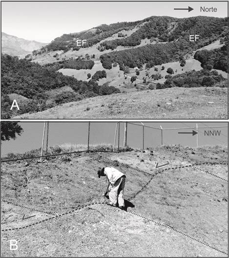 Vista del escarpe de la falla Navarro (EF) del lado norte del valle del río San Cristóbal Norte. B: Falla con separación normal (a trazos negros) afectando depósitos volcánicos de la Formación Grifo Alto (sitio 7 en Figura 2). La separación de inclinación es de 1,5 m. El rumbo de la falla es este-oeste y buza 35° al sur.