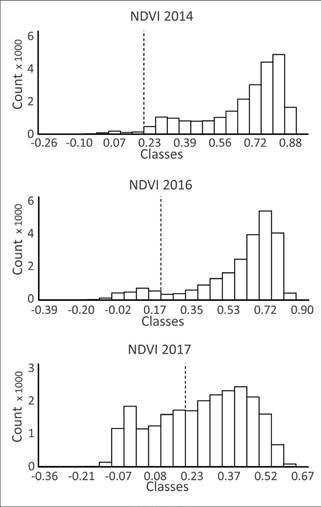 NDVI histograms for Turrialba Volcano. The stippled lines show the 0.2 theoretical limit for soils vs. vegetation. Columns to the left of the 0.2 value line indicate presence of bare soil, columns to the right of the line indicate presence of live vegetation.
