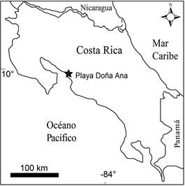 El &aacute;rea de estudio, playa Do&ntilde;a Ana, ubicado en las coordenadas 9&deg;57.410&rsquo; N y 84&deg;44.352&rsquo; W.