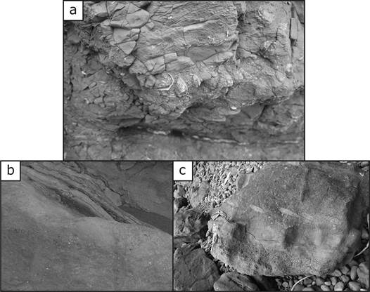Fotos del afloramiento central (a), norte (b) y sur (c) de la playa Do&ntilde;a Ana. a: Niveles de acumulaci&oacute;n de conchas, donde se aprecia el retrabajo de los niveles inferiores. b: Traza de escape en sedimentos volcanicl&aacute;sticos. c: Gradaci&oacute;n positiva y clastos imbricados.
