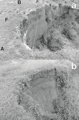 Erosi&oacute;n en c&aacute;rcava V&iacute;a Galicia (punto 2 de Fig. 5), relacionada a erosi&oacute;n subterr&aacute;nea.