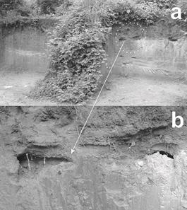 Campo experimental de taludes de TBJ con diferente inclinaci&oacute;n y cobertura donde se monitorea la humedad y succi&oacute;n. Se puede observar posible influencia de la erosi&oacute;n subterr&aacute;nea en los proceso de denudaci&oacute;n en estos piroclastos.