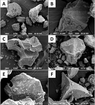 A) Gran cantidad de fragmentos de ceniza (nivel A0) no juveniles (hidrotermalizados, alterados a minerales secundarios, posiblemente sulfatos), con un grano vidriosos fresco (juvenil?) al centro. B) Grano blocoso de vidrio (nivel A1) con fracturas de hidratación (típico de depósitos freatomagmáticos) y pocos minerales de neoformación y partículas adheridas en su superficie. C) Grano de ceniza blocoso y escoriáceo (nivel A2) con pocos minerales de neoformación y partículas adheridas. D) Granos de vidrios (nivel A3) con forma de bloques poco vesiculares hasta esquirlas de vidrio, con cantidades variables de minerales de neoformación y partículas adheridas; uno de ellos (E) con grietas de hidratación, típico de depósitos freatomagmáticos. F) Hialoclasto juvenil con las cavidades de las vesículas.