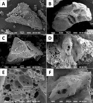 A) Grano de ceniza vidrioso, angular con grietas de hidratación (nivel A4) con partículas adheridas y minerales de neoformación. B) Grano blocoso de vidrio (nivel A5) con pocas vesículas, partículas adheridas y pocos minerales de neoformación en su superficie. C) Grano de vidrio angular (nivel A6) y algunas grietas de contracción termal. D, E y F) Grano de escoria (nivel A7) con vesículas esféricas y oblongas, a veces coalescentes y superficies lisas, posiblemente por refusión.