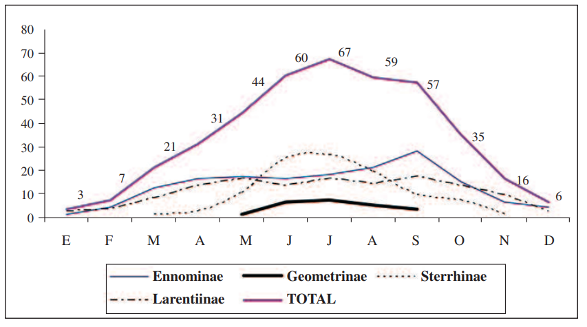 Esquema fenológico de las diferentes subfamilias de Geometridae en el Parque Natural de Sierra María-Los Vélez durante el período comprendido entre la segunda quincena de mayo de 2010 y la primera quincena de mayo de 2012. Los números que componen la tabla se refieren a número de especies en cada mes.